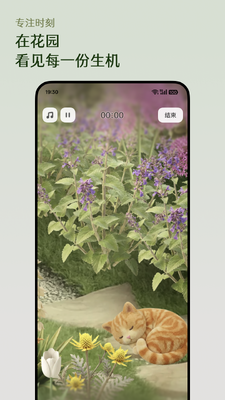 ����Floravale�ٷ����ͼ1