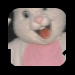 ħ����������V1.0.0 ��Ѱ�
