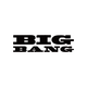 BIGBANG OFFICIAL LIGHT STICKӦԮ��v1.0.4 �ٷ���