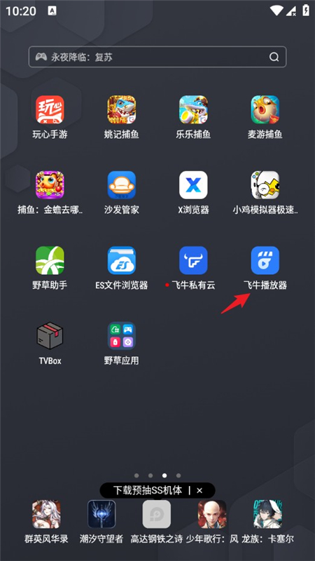 肥妞音乐(飞牛音乐第三方)手机版播放界面与音质设置