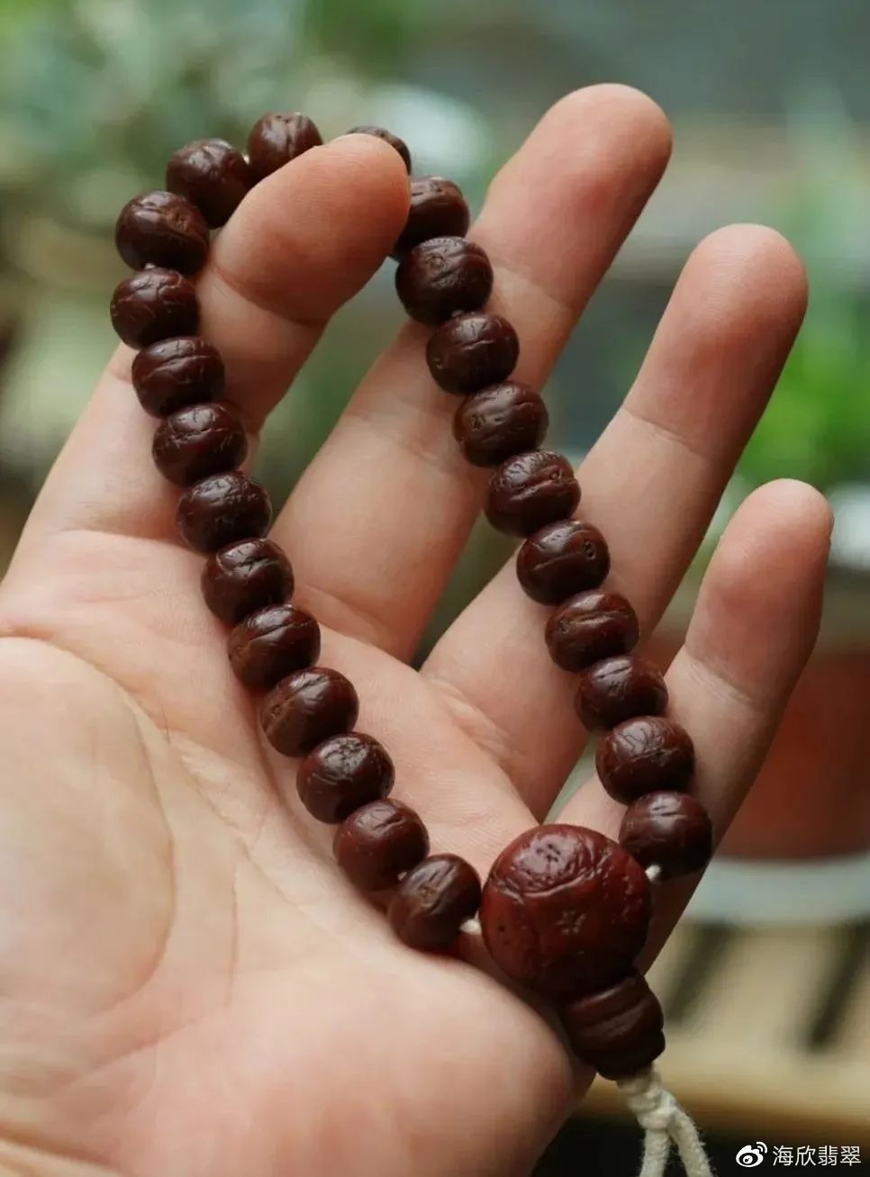 ��ԵȤƷ �ִ� ���� ���� ����