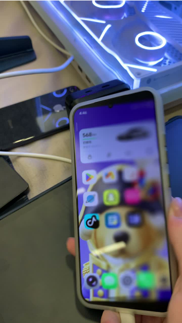 DuoFold��ĻЧ��