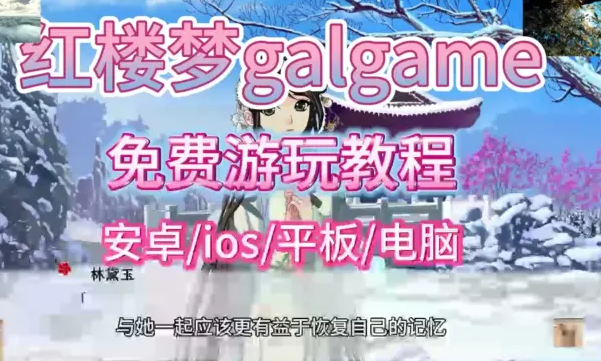 ��¥���������뱱����galgame��Ϸ�ֻ���ֱװ