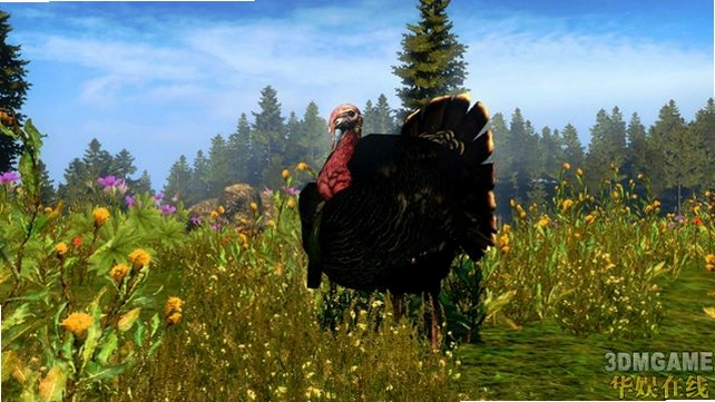 ������Ұ��ð��2010���԰���Ϸ��ͼ