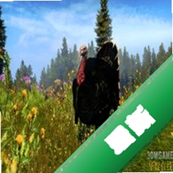 ������Ұ��ð��2010���԰���Ϸ
