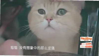 ����ҽԺ2:����֮�ֽ�ͼ1