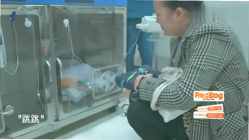 宠物医院2:治愈之手截图
