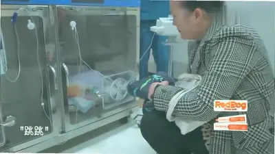 ����ҽԺ2:����֮�ֽ�ͼ0