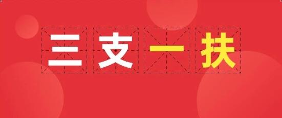 三支一扶期满转编政策各省差异