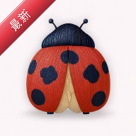 һ��չ1.9.4 չ���罻����