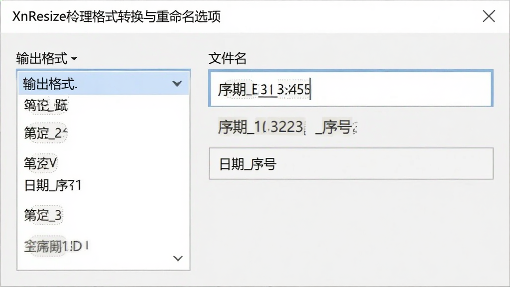 XnResize格式转换与重命名选项界面,画面展示输出格式下拉菜单和文件名编辑框,包含“日期_序号”等变量标签,布局简洁,风格商务,画质干净,无多余元素