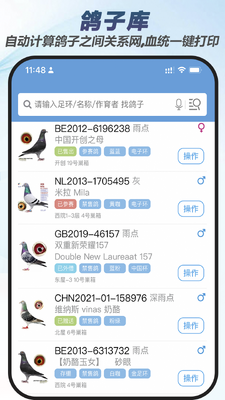 �����ƽ�ͼ2