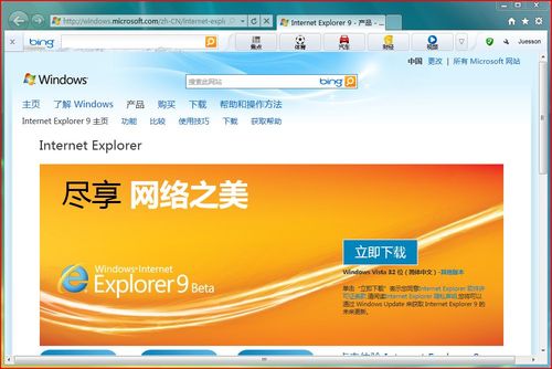 Internet Explorer 9 ����� ���� ��ͼ
