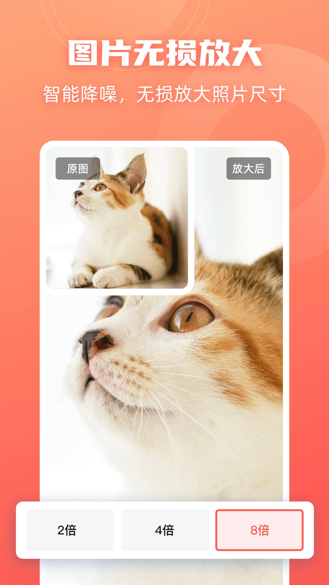 �˸�ʽ��ͼ��ʦ��ͼ