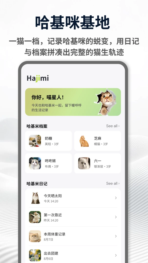 ������Hakimi��ͼ