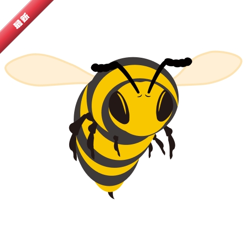 SpeedyBee3.1.5 ��Խ�����ι���
