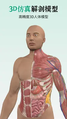 ��������ʽ�ͼ0