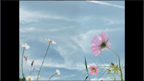 ���ղ��湷�����ռ��ֻ��氲׿���ͼ