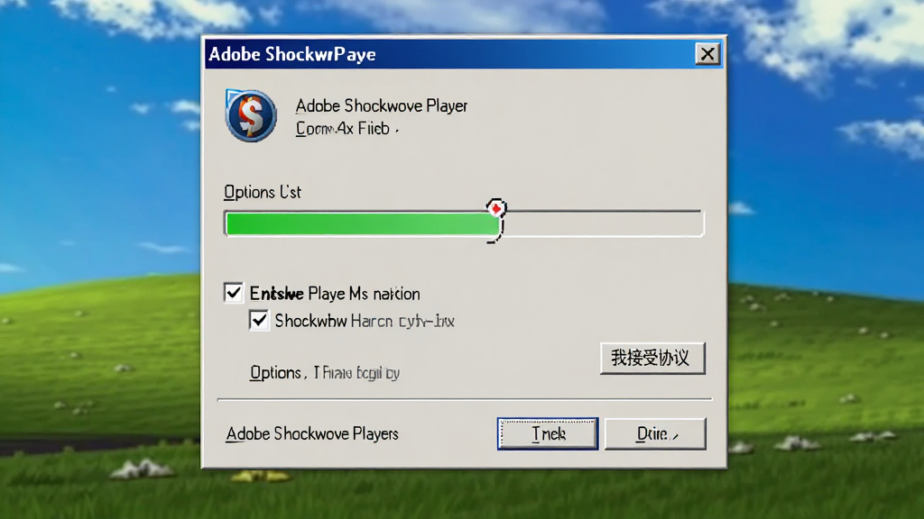 Adobe Shockwave Player ��װ�򵼽��棬����Ϊ��װ��������ѡ�ť������Ϊ���жԻ����Ű����������Ϊ���� Windows ��װ���棬ϸ���С���һ�������ҽ���Э�顱�Ȱ�ť�����ʸ��壬�ɾ����޶���Ԫ��