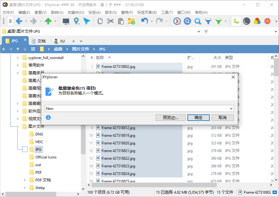 XYplorer���ǩ�ļ��������������������ý���