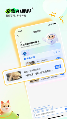 Pet���ǽ�ͼ2