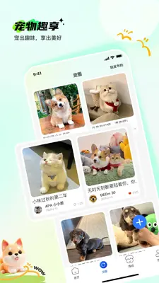 Pet���ǽ�ͼ3