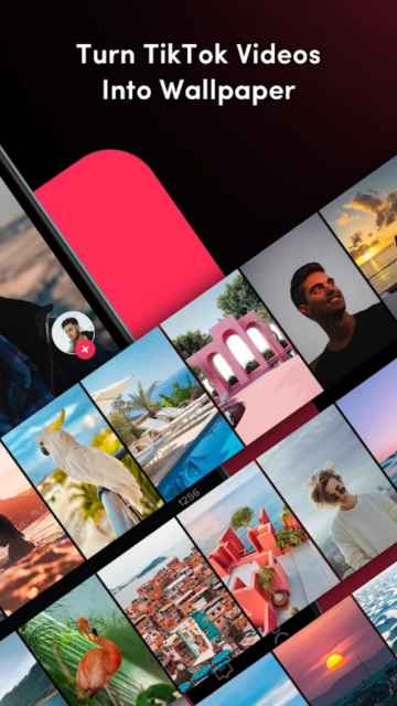 Video Wallpaper��̬��ֽ��ͼ