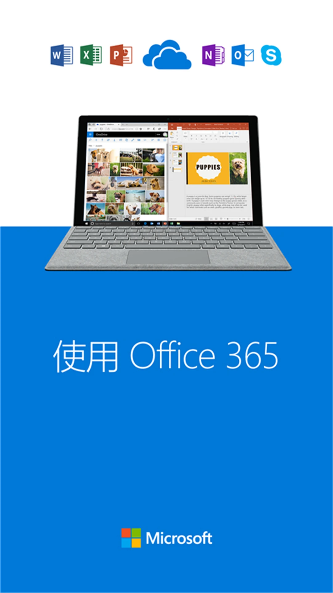 ΢������SkyDrive��ͼ