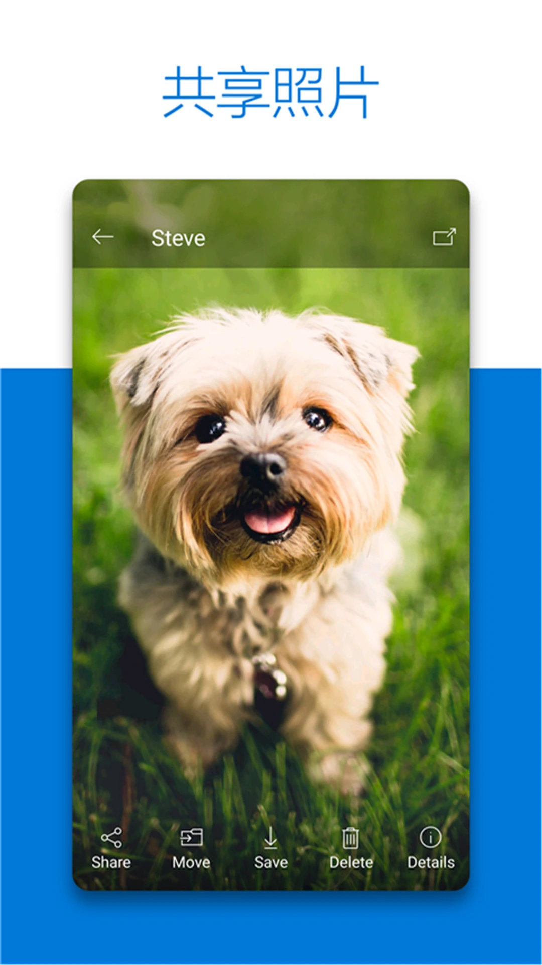΢������SkyDrive��ͼ