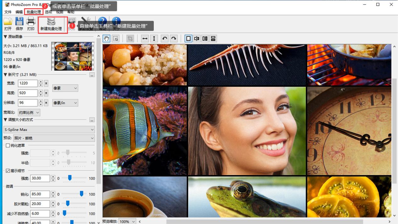 PhotoZoom Pro �������� ����