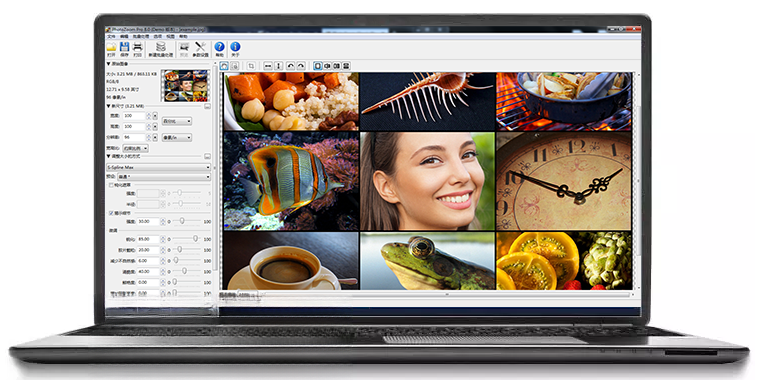PhotoZoom Pro ͼƬ����Ŵ�������ͼ