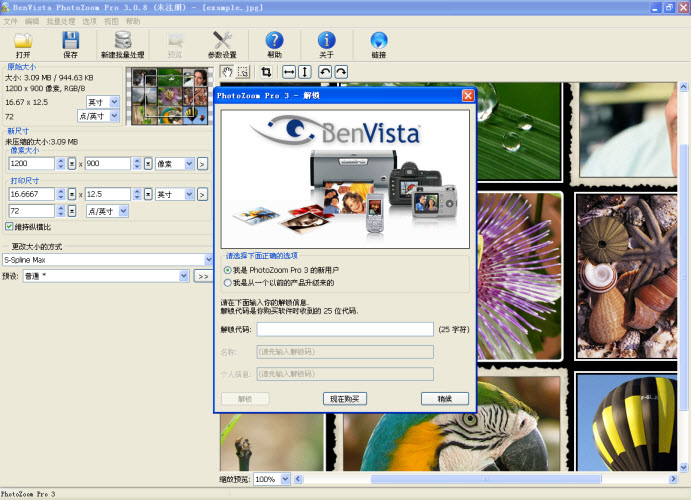 PhotoZoom Pro ͼƬ����Ŵ�������ͼ