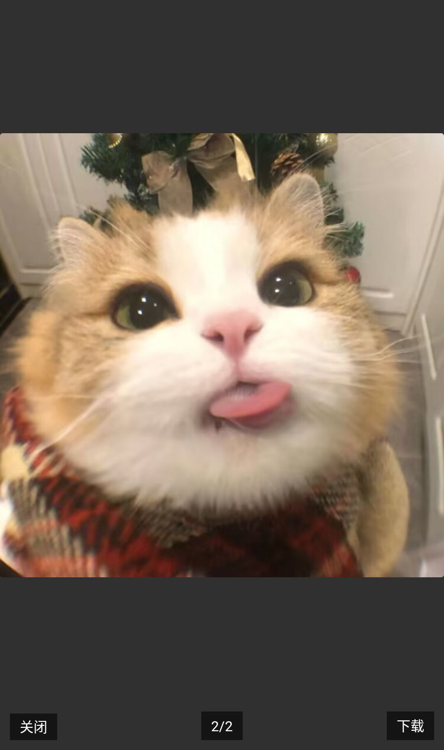 ������Զ���������ͼ