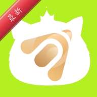 �����4.1.0 �����ʲ�����