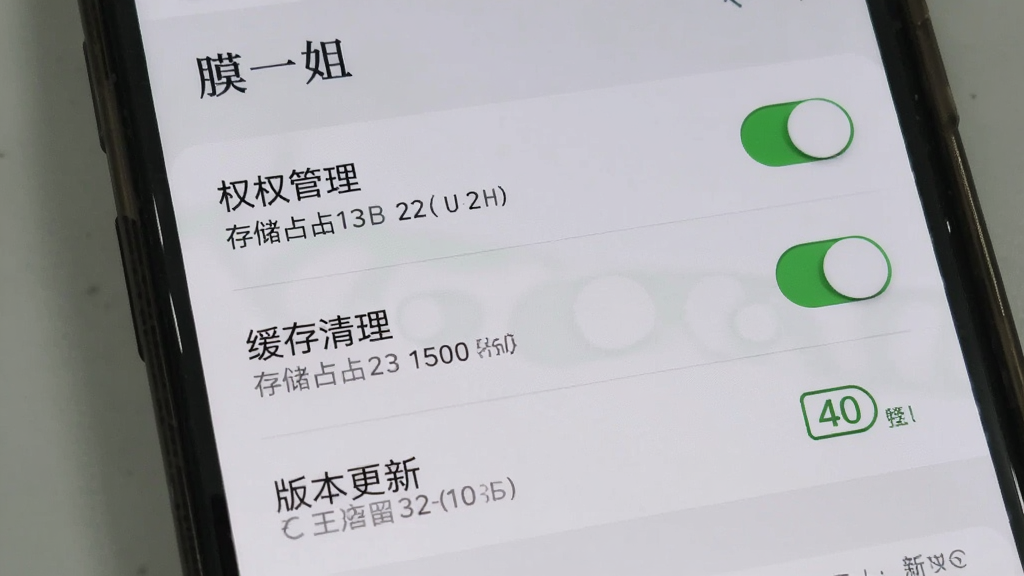 手机屏幕展示“膜一姐”应用设置页面,画面中有权限管理、缓存清理与版本更新选项,背景为浅灰色列表布局,风格简洁实用,细节包括开关按钮与存储占用提示,画质清晰,干净,无多余元素