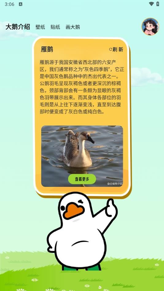 ����ػ� ��׿�� �����ͼ