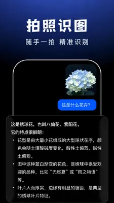 AI Agent���ֽ�ͼ4