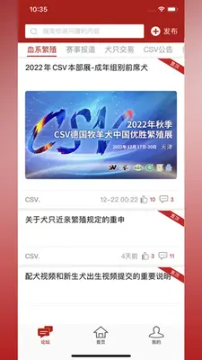 CSV��ͼ0