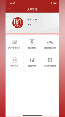 CSV��ͼ3