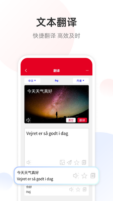丹麦语翻译截图1