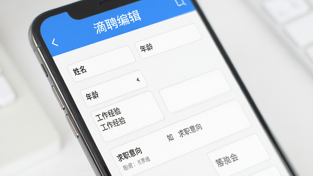 ��ƸAPP�����༭ҳ�棬�ֻ���Ļչʾ���ļ�����д�������������������䡢�������顢��ְ������ֶΣ������԰�ɫ����ɫΪ���������ˬ�������������޶���Ԫ��