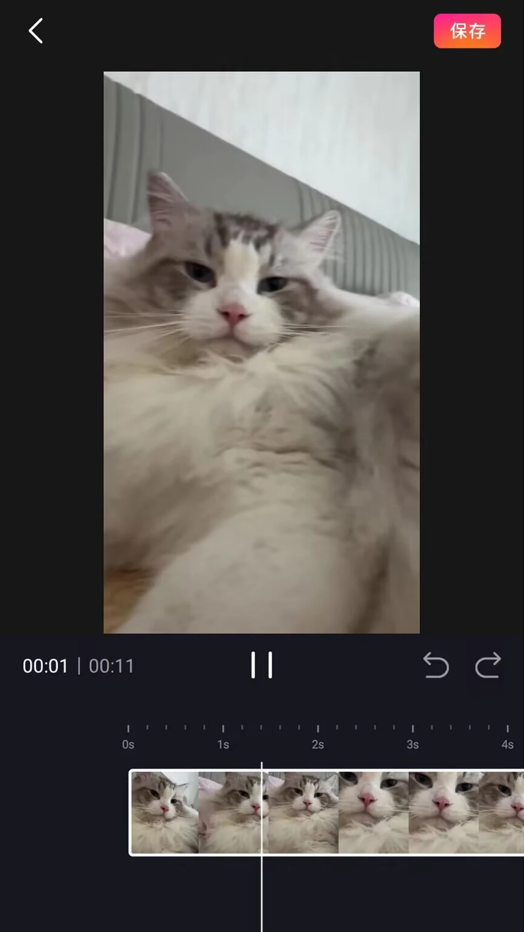 ����Ͷ�����ֽ�ͼ