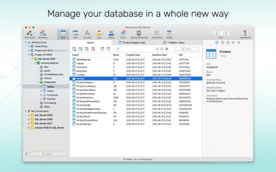 Navicat for SQL Server��ͼ3