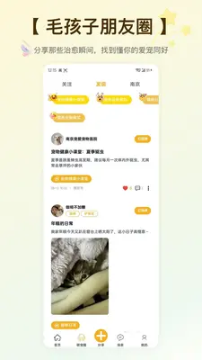 Hifurkid��ͼ1