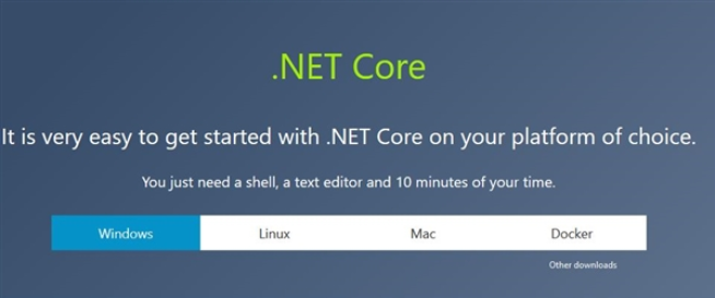 Microsoft .NET Core ���н����ͼ