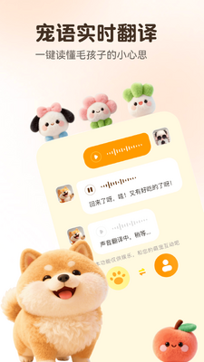 �������Է�����Translator��ͼ1