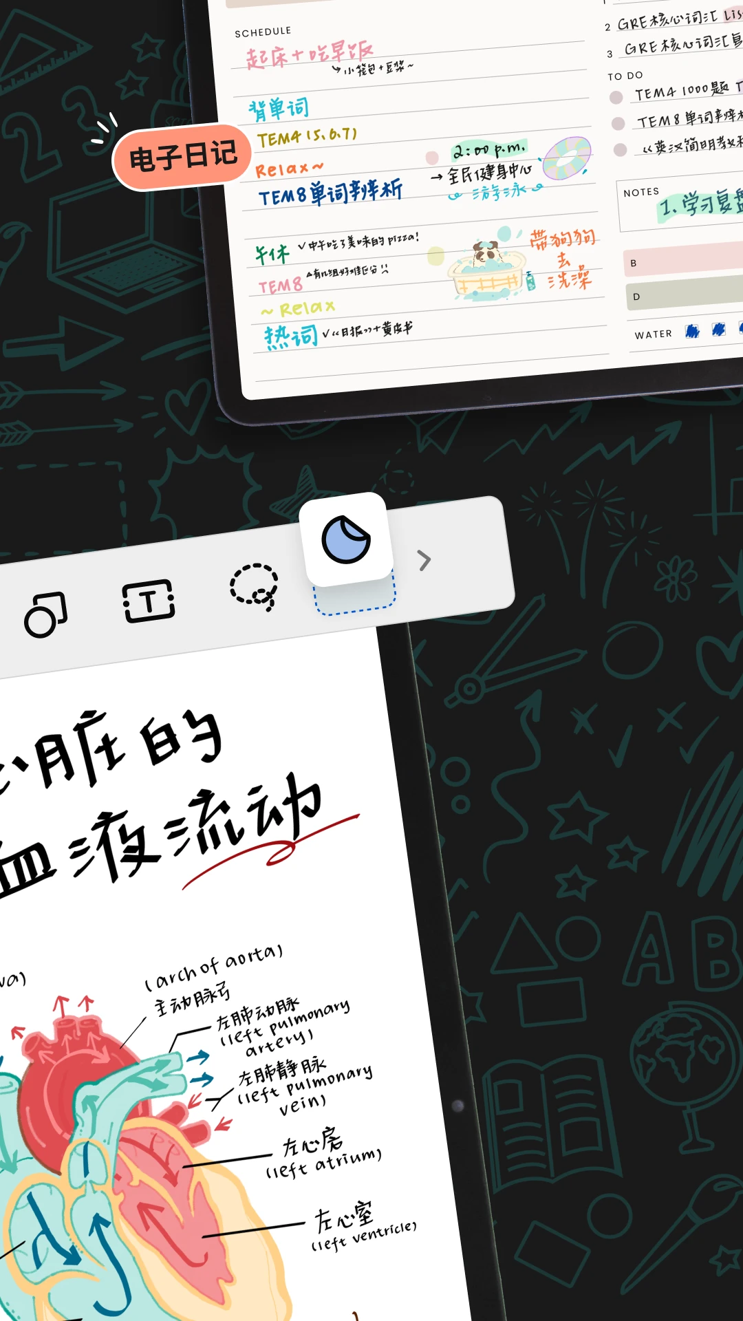 Noteshelf 3Noteshelf�ʼǽ�ͼ