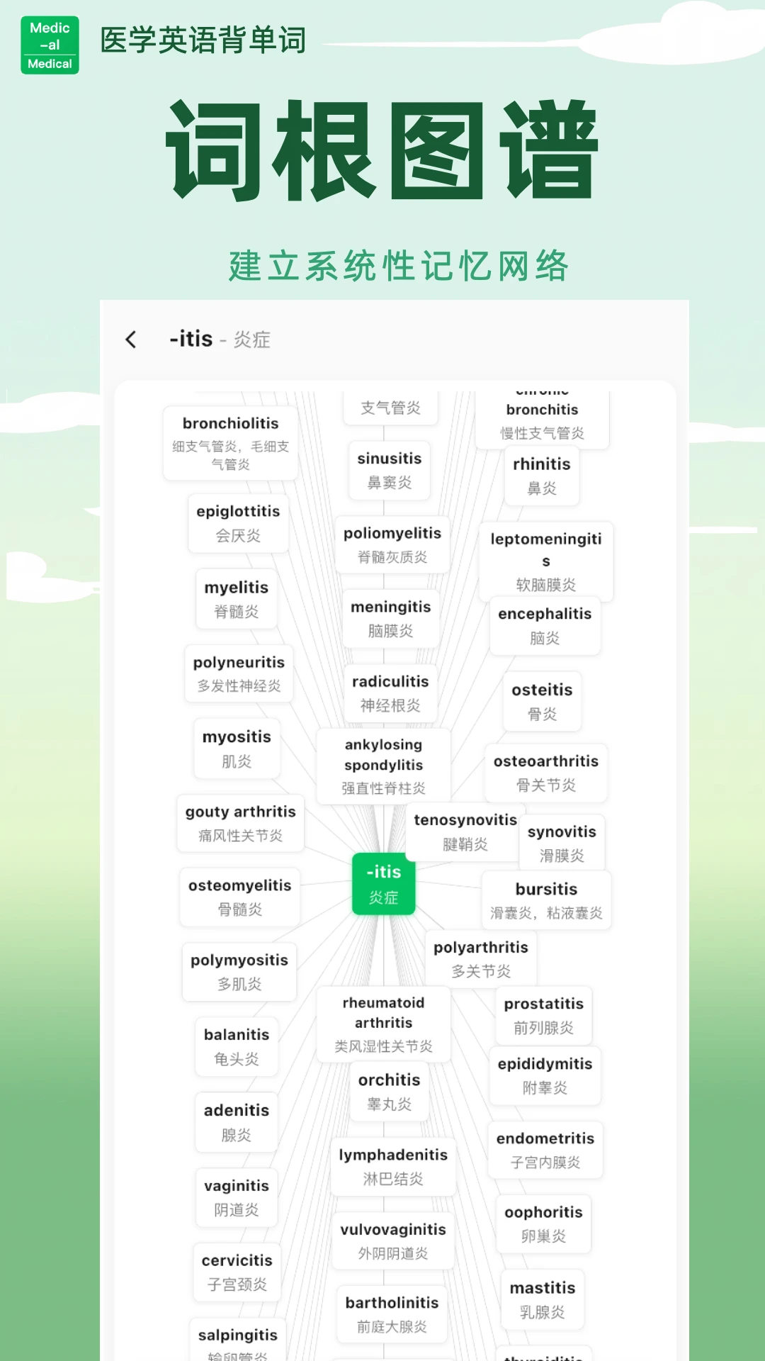 医学英语背单词截图