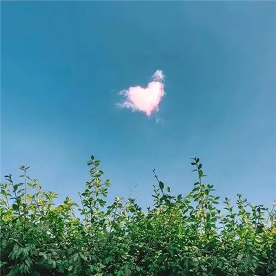 �ϳ����˱� ��׿�� ��װ�̳� ����