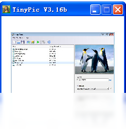 TinyPic �������湦��չʾͼ